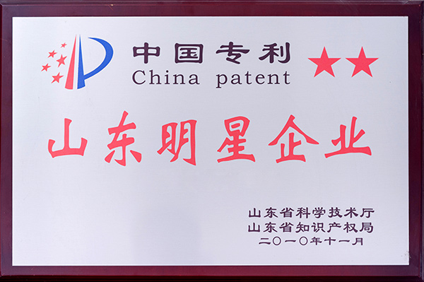 山东明星企业