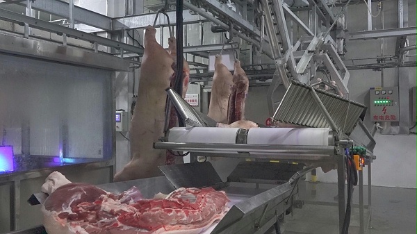 自动卸肉机前端带肉3333