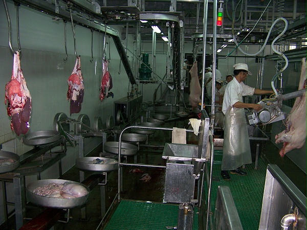 (猪线)落地式同步卫检